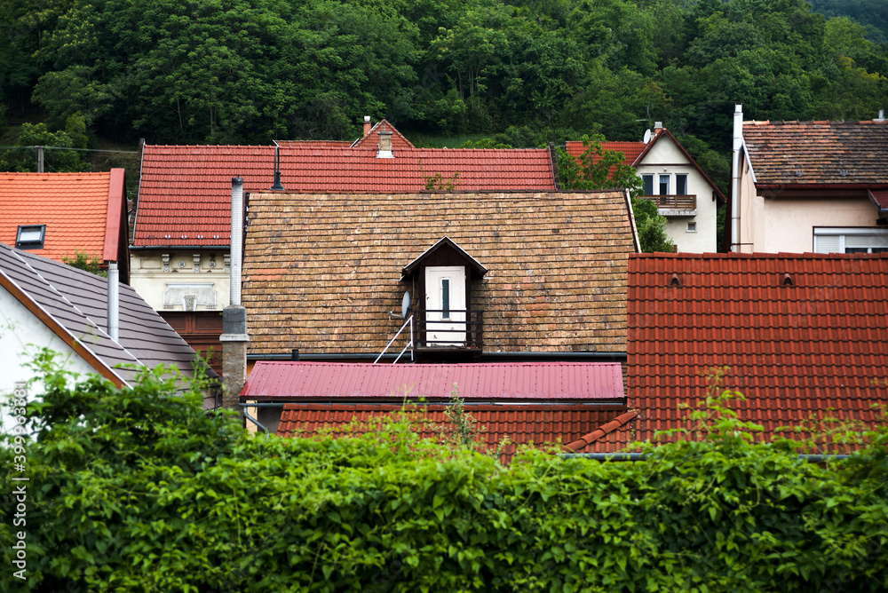 Old village house roofs surrounded with green foliage