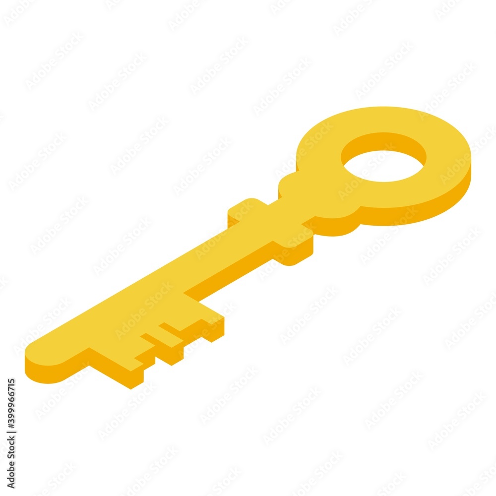 Key password icon. Isometric of key password vector icon for web design ...