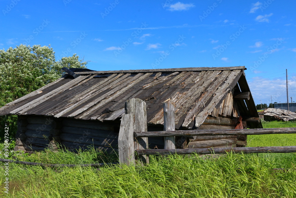Old wooden round log shed unpainted with rotten boards on the roof with walls without windows and doors in tall green grass. Rural vintage landscape with blue sky on a sunny day Old wooden round log shed unpainted with rotten boards on the roof with walls without windows and doors in tall green grass. Rural vintage landscape with blue sky on a sunny day