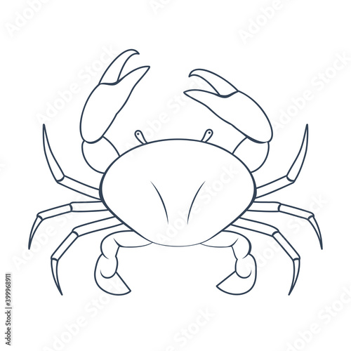 Black Cancer vector icon. Illustration of an astrology sign. Zodiac astrology sign depicting crab arthropod animal. crustaceans flat design character.