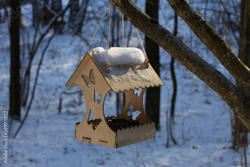 feeder in the winter forest