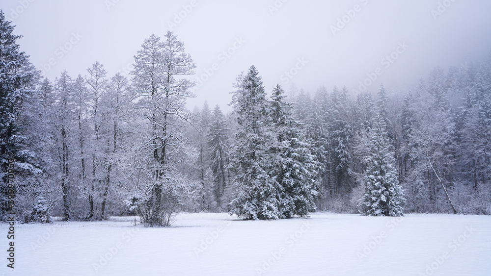 Winterlandschaft