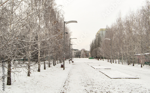 Winter city landscape with trees along the pedestrian path and lanterns, winter cloudy day