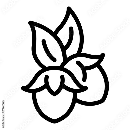 Jojoba plant icon. Outline jojoba plant vector icon for web design isolated on white background