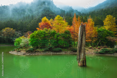Fototapeta Naklejka Na Ścianę i Meble -  scenery of mingchi forest recreation area in yilan, taiwan