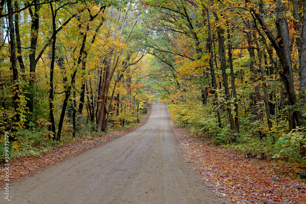 Fototapeta premium Tree lined dirt road with autumn foliage