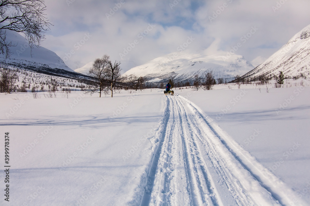 Dog sledding in Lofoten Islands, Northern Norway. Dog sledding in Lofoten Islands, Northern Norway.