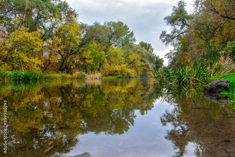 Beautiful view of the river in autumn with floating ducks