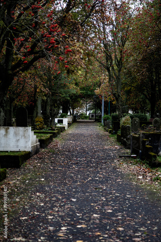 autumn in the park