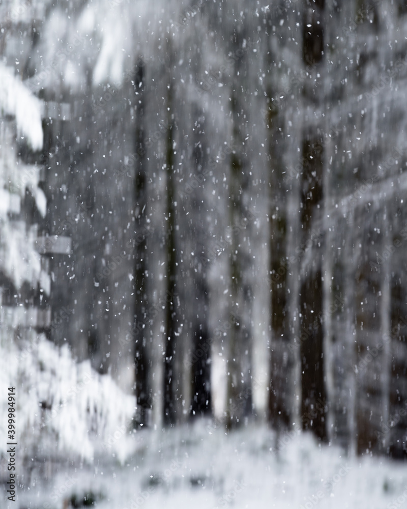 Falling snow in a cold Winter woodland with blurred background intentional camera movement. Falling snow in a cold Winter woodland with blurred background intentional camera movement.
