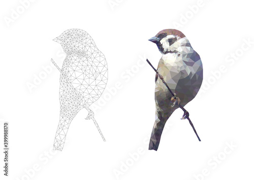 Vector circuit low poly sparrow. Vector illustration polygonal bird on branch