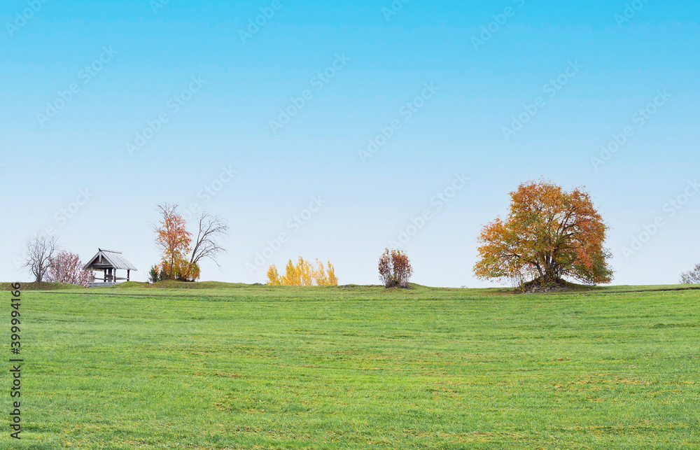 Fototapeta premium Autumn colorful trees landscape on blue sky background. Fall nature background.