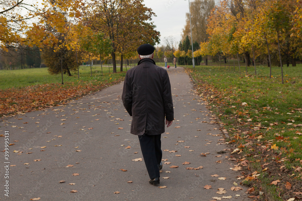 Fototapeta premium An old lonely pensioner man in a cap walks through the autumn park. View from the back.