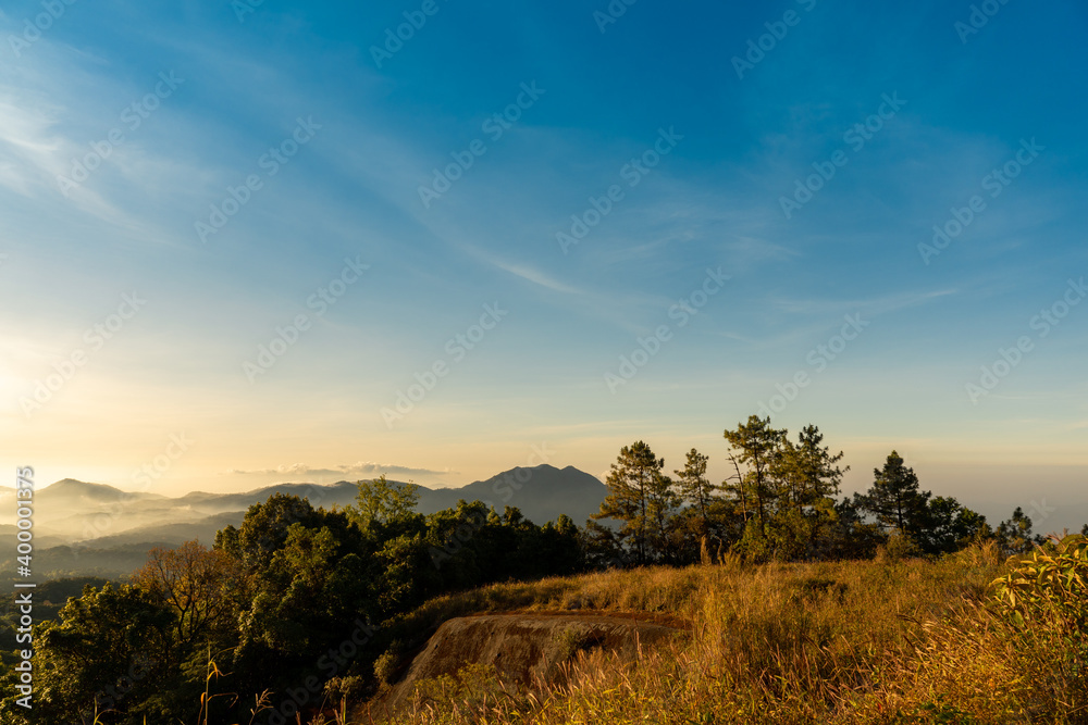 Scenery morning views on Doi Inthanon, pine trees, rocks, grasslands, warm sunlight and faint mist.