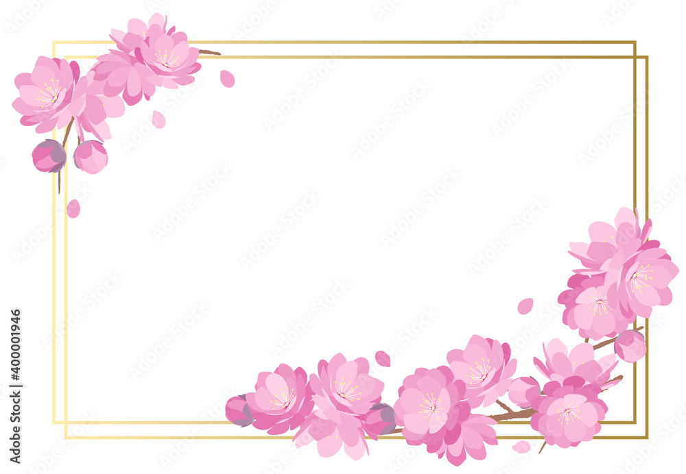 Peach blossoms spring frame background Peach blossoms spring frame background