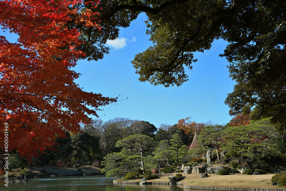 Obraz premium 紅葉と青空