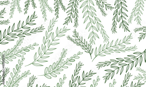 Botanical pattern illustration Vector