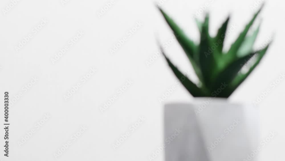 Close up of natural eco green cactus or succulent plant in concrete vase pot on dark table with copy space Close up of natural eco green cactus or succulent plant in concrete vase pot on dark table with copy space