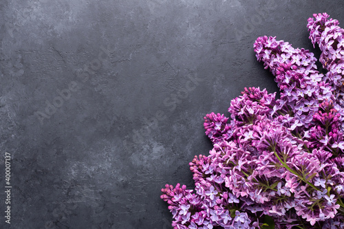 Branches of purple lilac on dark stone background. Top view. Copy for your text photo