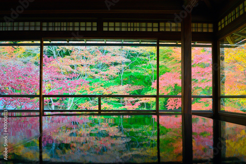 和室から眺める紅葉の日本庭園 © s_fukumura