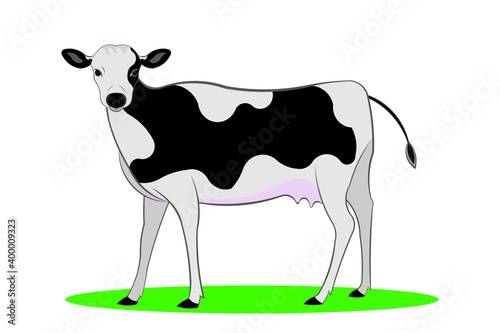 cow or dairy cow drawing in cartoon vector