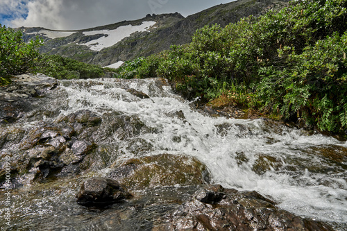 Canvas Print mountain river, a waterfall flowing down from a mountain peak between dwarf birc