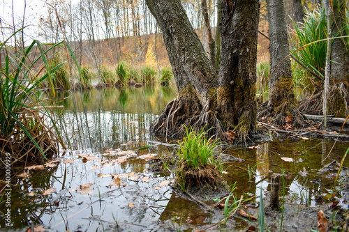 Nice view of a swampy pond among the hills photo