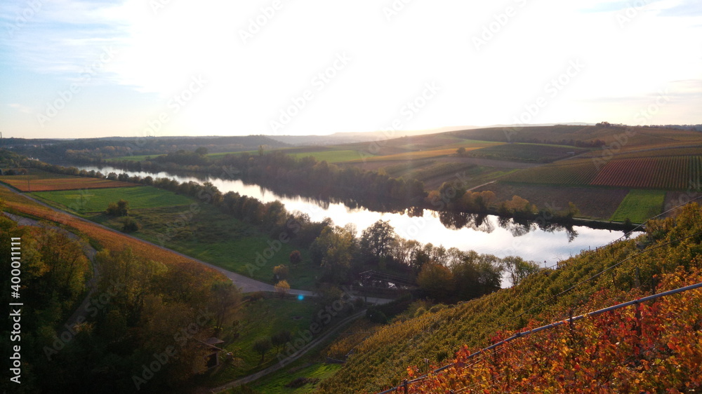 Blick auf den Neckar von den Weinbergen bei Lauffen