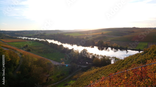 Blick auf den Neckar von den Weinbergen bei Lauffen