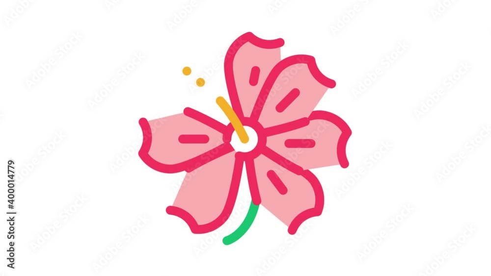 hibiscus flower Icon Animation. color hibiscus flower animated icon on white background hibiscus flower Icon Animation. color hibiscus flower animated icon on white background