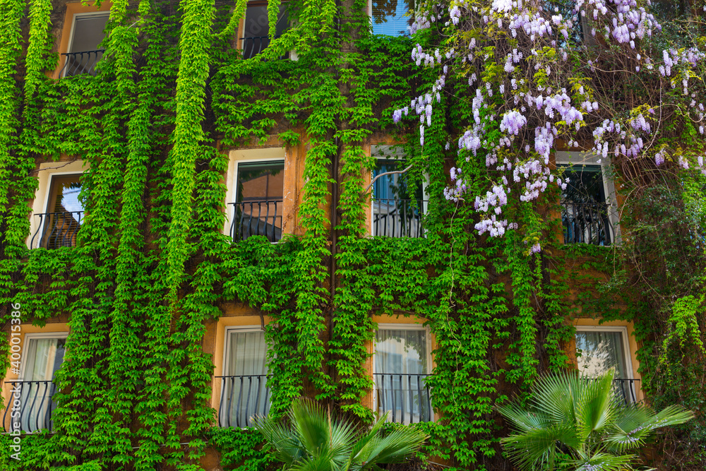 Fototapeta premium Rome, Italy, Europe