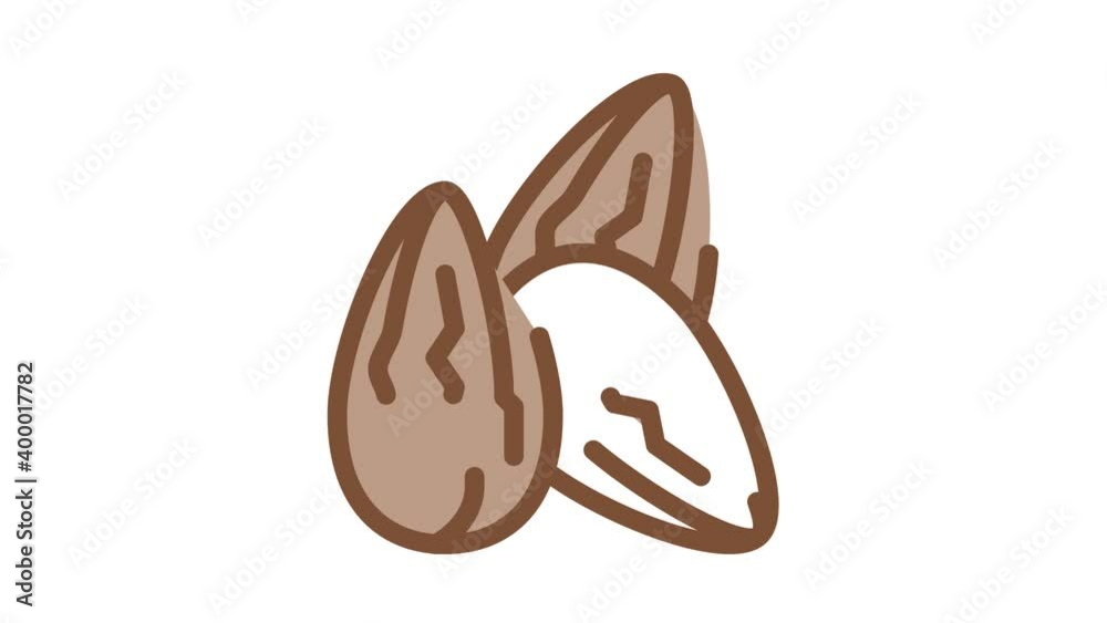 cocoa beans Icon Animation. color cocoa beans animated icon on white background cocoa beans Icon Animation. color cocoa beans animated icon on white background