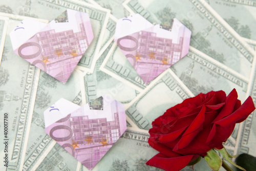 image of flower money background 