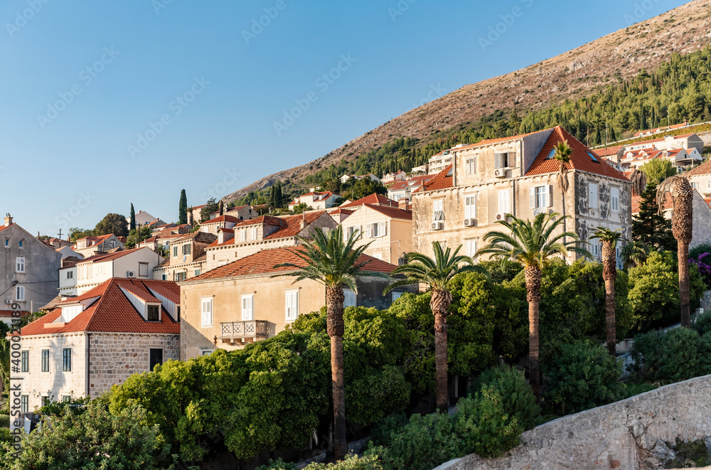 View of a hill with palm trees and houses in Dubrovnik, Croatia