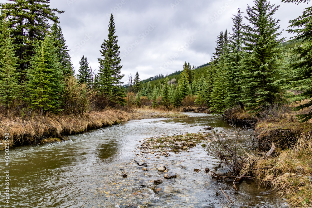Elk Creek as summer turns to fall. Elk Creek Provincial Recreation Area, Alberta, Canada Elk Creek as summer turns to fall. Elk Creek Provincial Recreation Area, Alberta, Canada