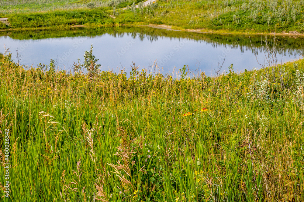 Flora abounds around the ranch. Glenbow Ranch Provincial Recreation Area, Alberta, Canada Flora abounds around the ranch. Glenbow Ranch Provincial Recreation Area, Alberta, Canada