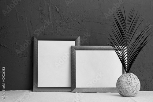 black and white photo, fern in an old vase, two gray photo frames on a blue background