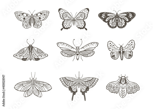 Boho vintage vector art design with bohemian butterfly. Isolated insect icon set in simple style, hand drawn illustration ornate collection, black on a white background.