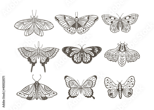 Boho vintage vector art design with bohemian butterfly. Isolated insect icon set in simple style, hand drawn illustration ornate collection, black on a white background.