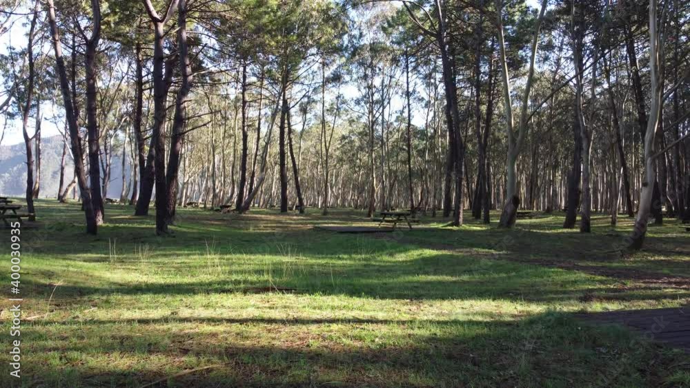 Natural park with wooden tables without people, deserted by confinement. Indirect sequelae of the pandemic, covid-19 Natural park with wooden tables without people, deserted by confinement. Indirect sequelae of the pandemic, covid-19