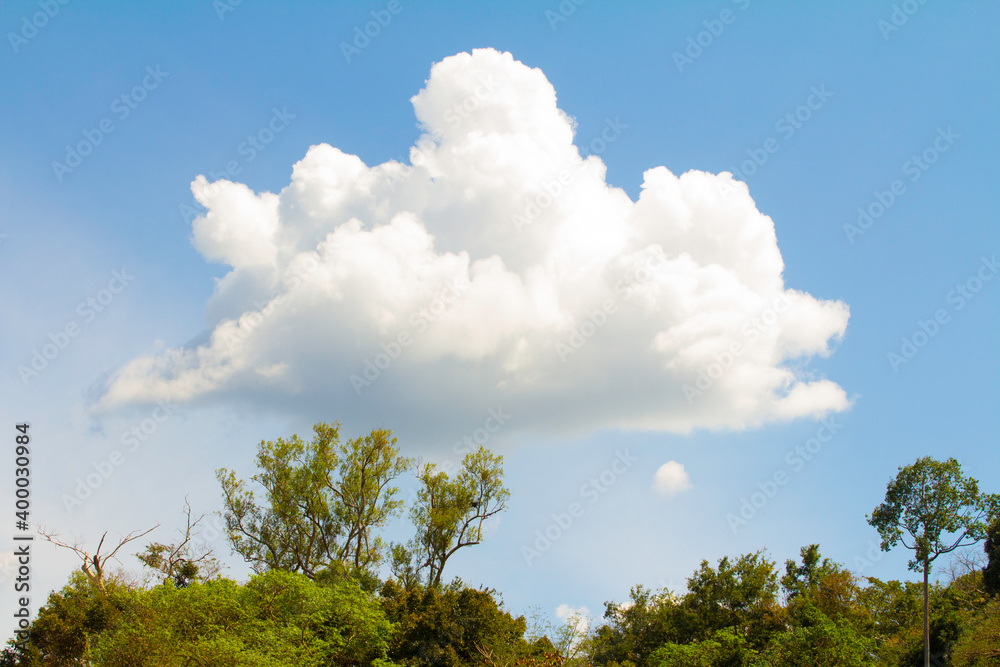 Obraz premium Mountain sky tree in Thailand