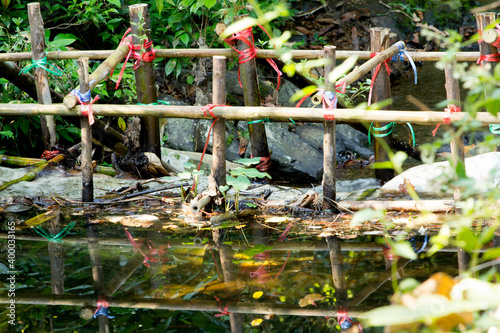 Check dam in forest, thailand photo