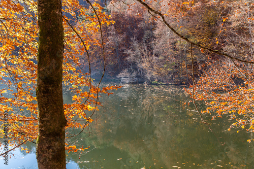 Sevenlakes National Park in Autumn Bolu Turkey. Yedigoller milli park  