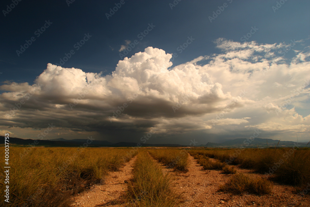 Bifurcación de caminos en paisaje estepario en forma de espartal o espartizal, con nubes de tormenta al fondo. Cieza (Murcia).