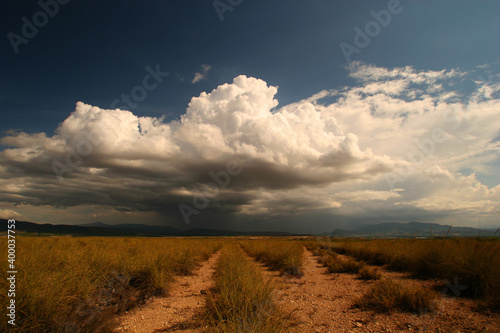 Bifurcación de caminos en paisaje estepario en forma de espartal o espartizal, con nubes de tormenta al fondo. Cieza (Murcia).