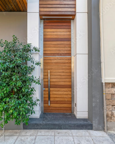 modern house facade and  entrance natural wood door with green foliage by the sidewalk