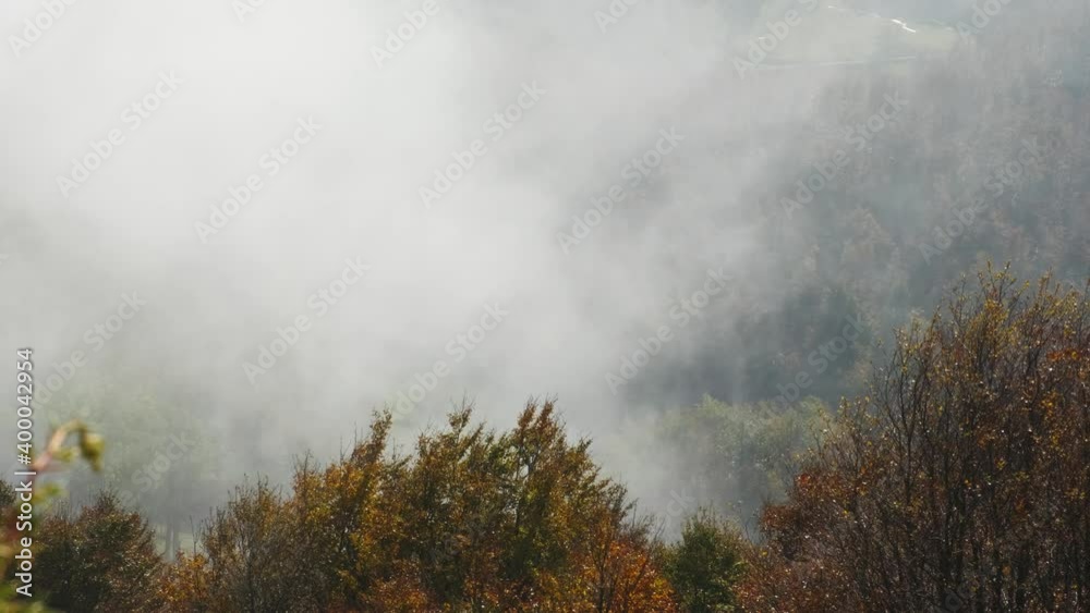 Heavy autumn morning fog rolling fast over treetops of the forest, handheld Heavy autumn morning fog rolling fast over treetops of the forest, handheld