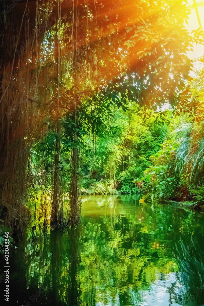 Fototapeta premium The wild nature. Beautiful landscape of tropical forest with the river. Vertical image.