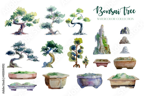 Bonsai Tree and pot watercolor painting isolated collection. photo