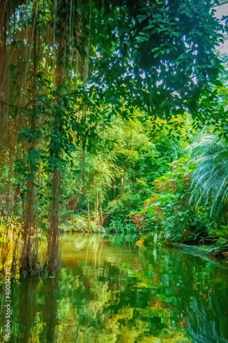The wild nature. Landscape of tropical forest with the river. Vertical image.